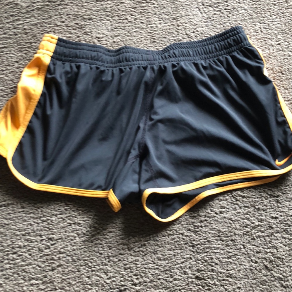 BOGO: Large Nike DriFit Shorts